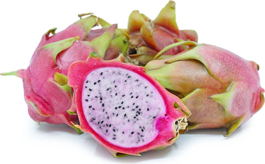 7 SETS of 2 DRAGONFRUIT MIXED CUTTINGS