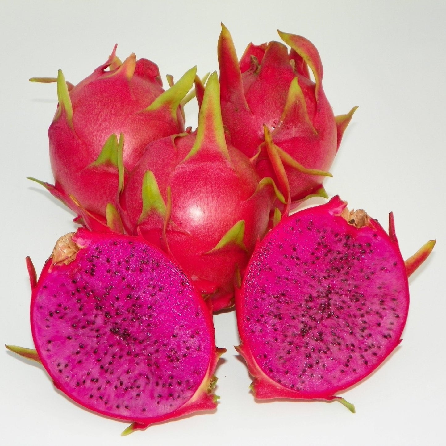 7 SETS of 2 DRAGONFRUIT MIXED CUTTINGS