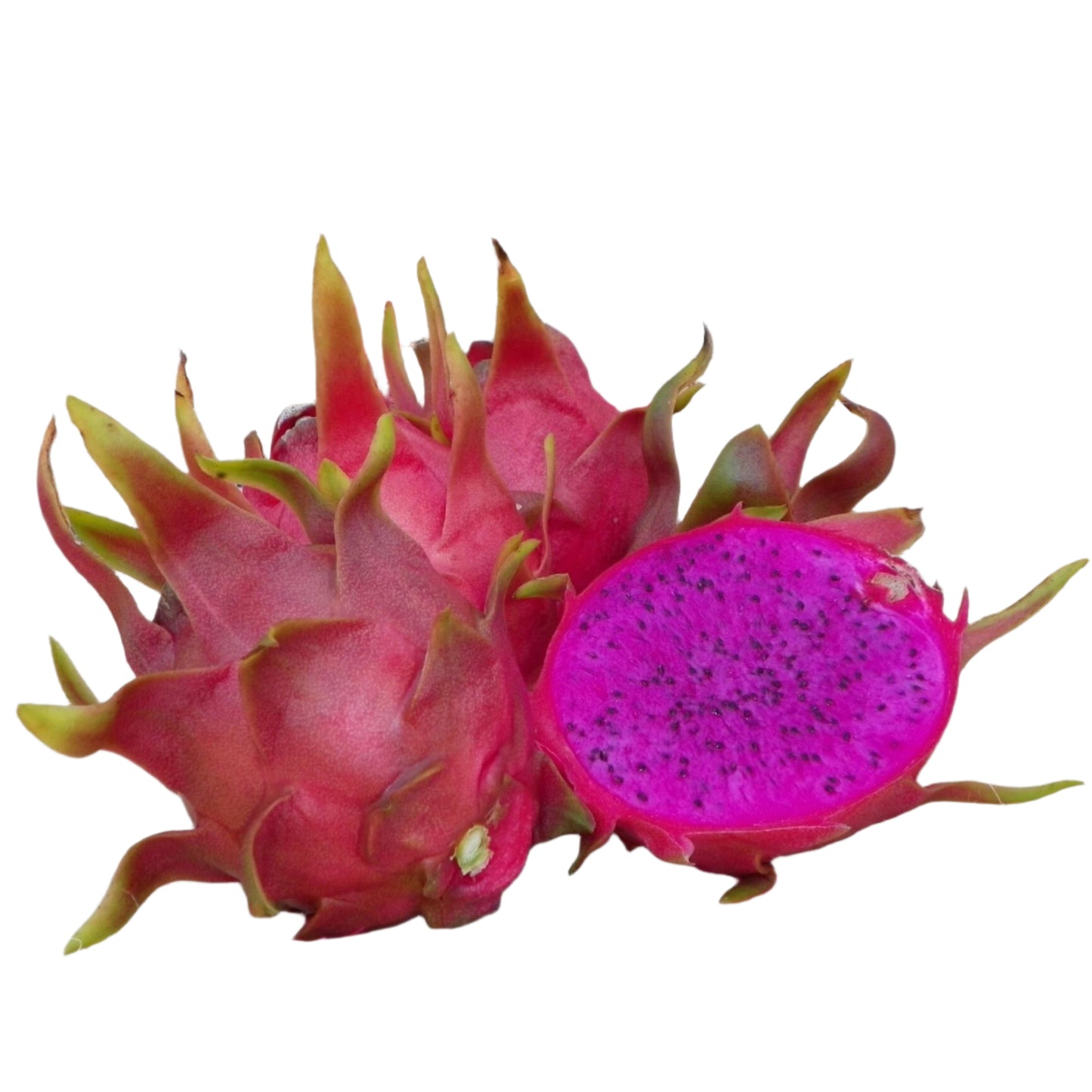 7 SETS of 2 DRAGONFRUIT MIXED CUTTINGS
