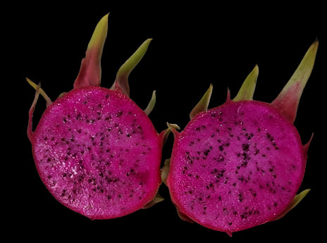 7 SETS of 2 DRAGONFRUIT MIXED CUTTINGS